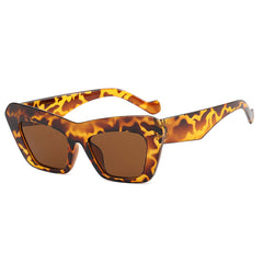 Cat Eye Wide Temple Sunglasses Triangle Glasses Hip Hop Sunglasses