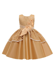 Girls Sleeveless Lace Flower Princess Dress