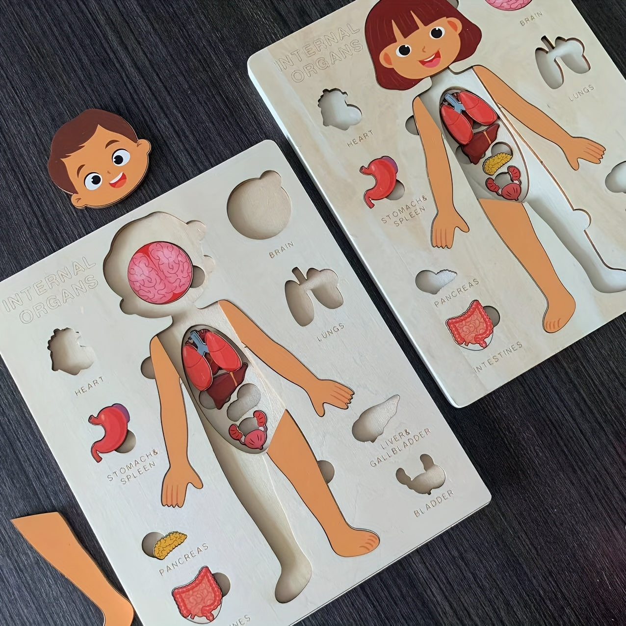 Wooden Human Body Puzzle for Kids Educational Toy