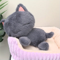 2pcs Capybara Dog Cat And Fox Plush Toys for Girls Birthday