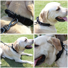 Nylon Tactical Dog Training Collar for Large & Medium Dogs