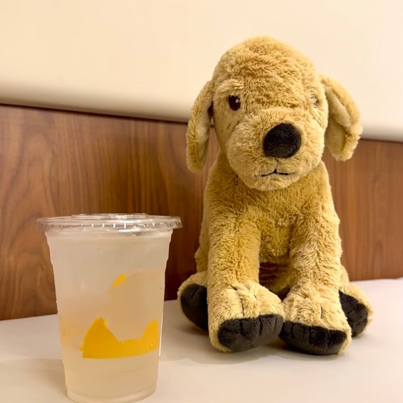 Golden Retriever Plush Toy Dog Doll Animal Doll Perfect Gift