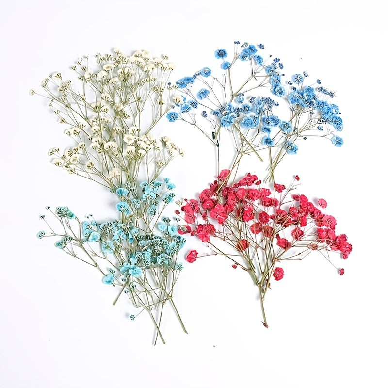 10 Pcs Natural Gypsophila Bouquet for Decor & Photography