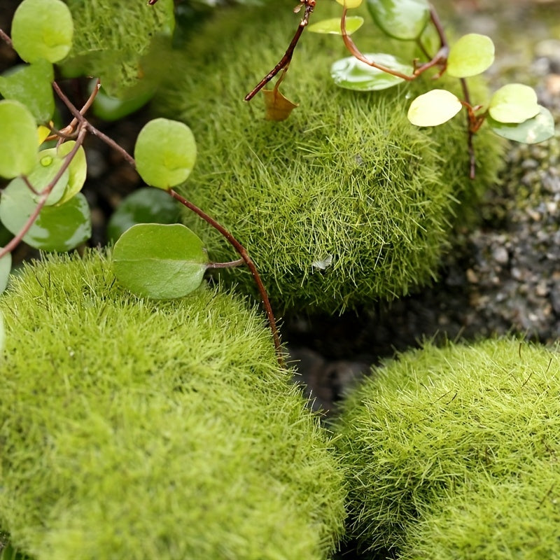 1Pc Fairy Garden Stone Moss Micro Landscape Bonsai DIY Decor Ornament