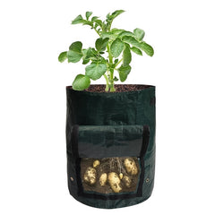 PE Garden Planting Bag for Potato Tomato Strawberry Carrot