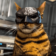 3D Printed Cat Mask Superhero Costume Fun Pet Prop for Cosplay Photoshoots