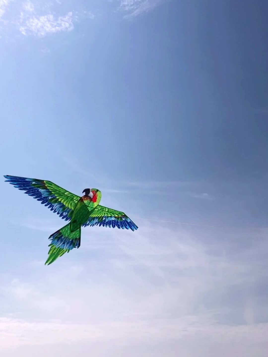Green Parrot Kite D Handle Flying Lines Easy Setup Easy Fly Family Games