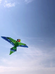 Green Parrot Kite D Handle Flying Lines Easy Setup Easy Fly Family Games