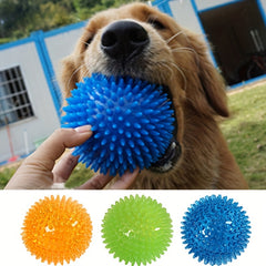 Squeaky Dog Molar Ball Toy Tough Rubber Durable Dog Teeth Cleaning Ball