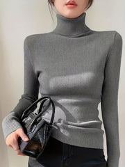 Solid Turtleneck Sweater Casual Long Sleeve Sweater For Fall & Winter