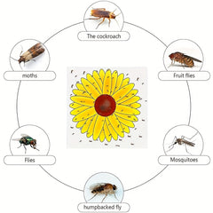 Sunflower Fly Traps Window Stickers, 30pcs, Kid-Friendly