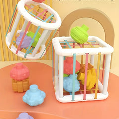 Rainbow Cecile Toy Educational Folding Music Baby Grasping Shape