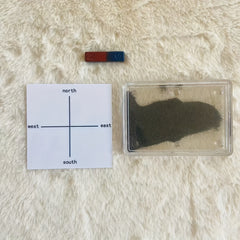 Magnetic Field Demonstration Kit with Iron Powder Magnets