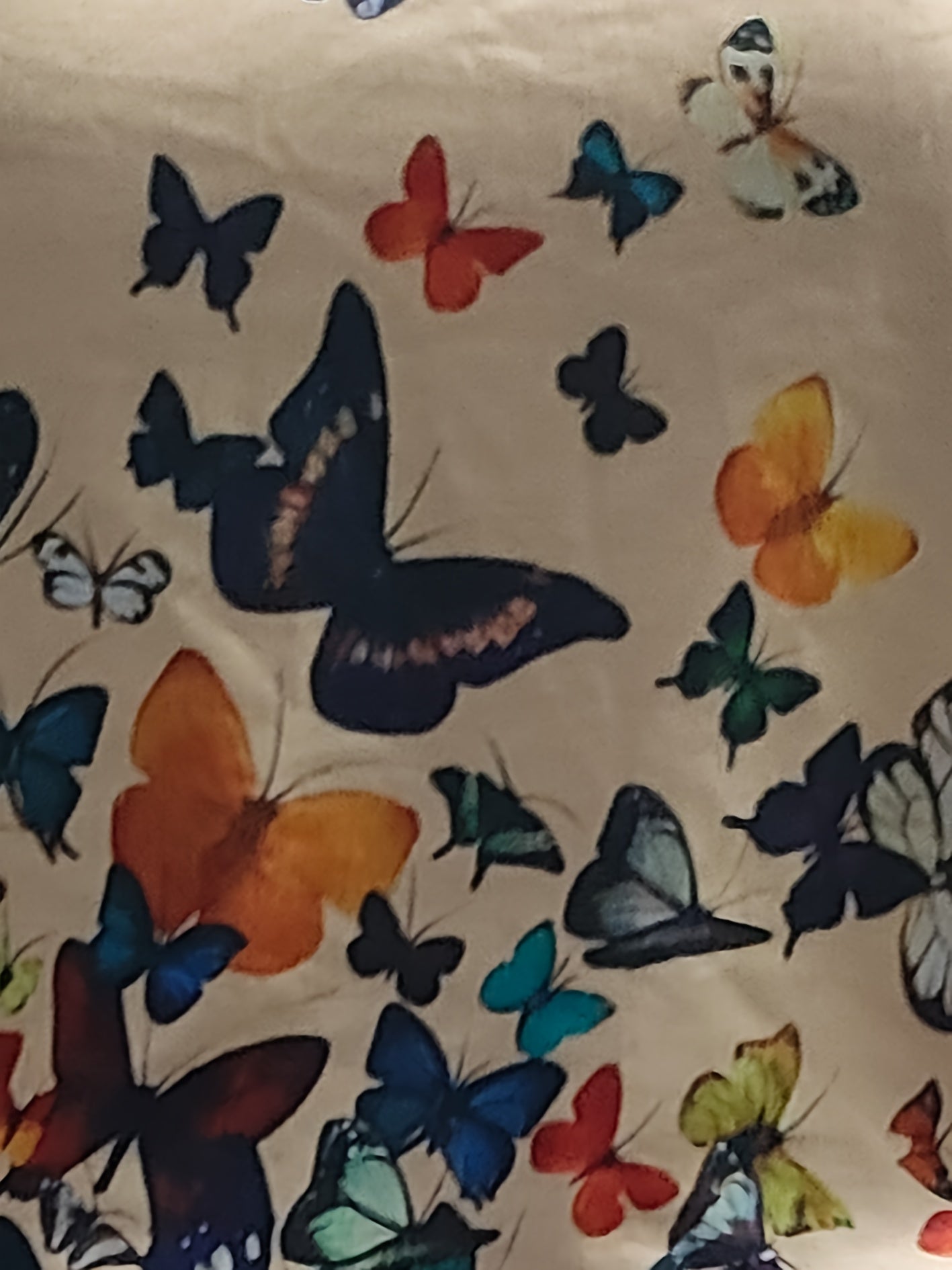  Butterfly Print Tee & Pants Set - Casual Outfit Two Piece Set