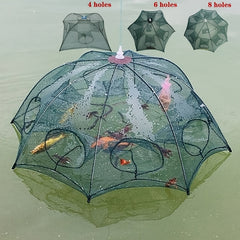 Collapsible Fishing Net for Live Fish and Shrimp