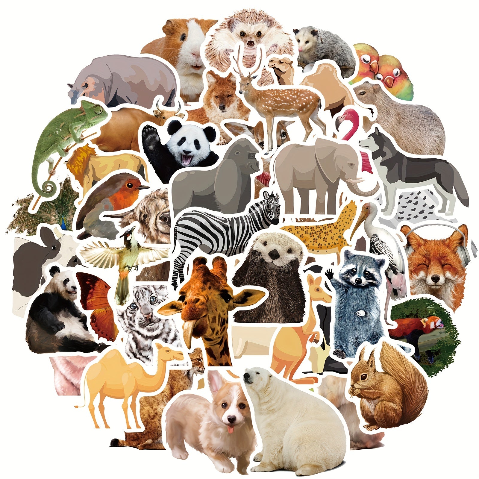 50pcs Animal Documentary Vinyl Waterproof Stickers for Adults