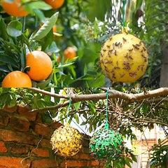 Insect Attracting Ball Sticky Fly Ball Fruit Fly Attracting