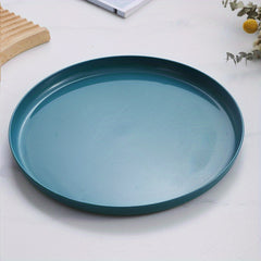 Unbreakable Round Tray for Dining Picnic Snack Appetizer 5 Colors