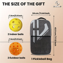 ZDLE Pickleball Paddles Set with Graphite Carbon Fiber Panels and 4 Balls