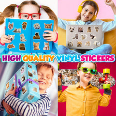 100pcs Cat Expression Package Stickers Funny DIY Cat Head Stickers