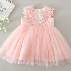 Baby Girls Floral Embroidered Princess Dress