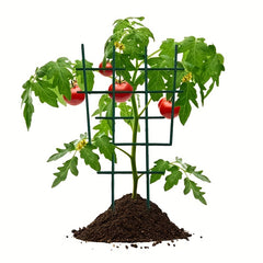 1pc Green Plastic Plant Support Frame for Garden Climbing Vines