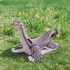 Durable PVC Realistic Dinosaur Inflatable Water Toy Grey