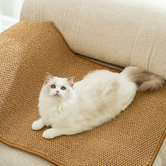 Sisal Cat Scratcher Mat with Magic Stickers