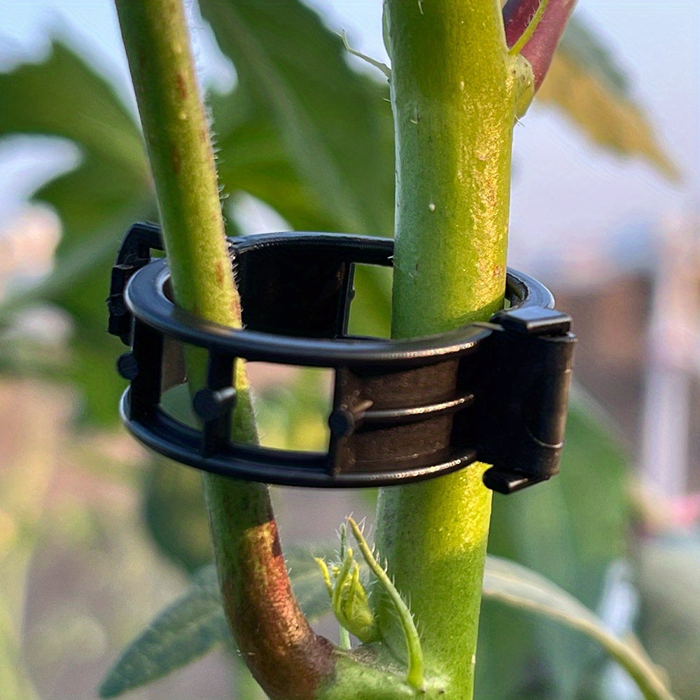 30pcs Plant Vine Clips Branch Fastener Tomato Cucumber Climbing Clips