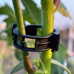 30pcs Plant Vine Clips Branch Fastener Tomato Cucumber Climbing Clips