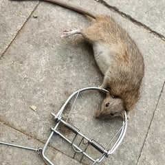 1pc Mouse Trap Weasel Catch Spring Trapt Rodent Cage Mole Repeller Rat Trap