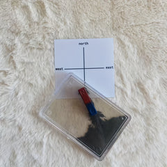 Magnetic Field Demonstration Kit with Iron Powder Magnets