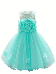 Flower Embroidered Princess Dress for Girls