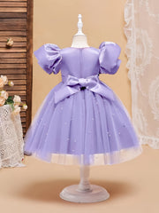 Girl's Princess Tutu Dress For Birthday Flower Girl Wedding Dress