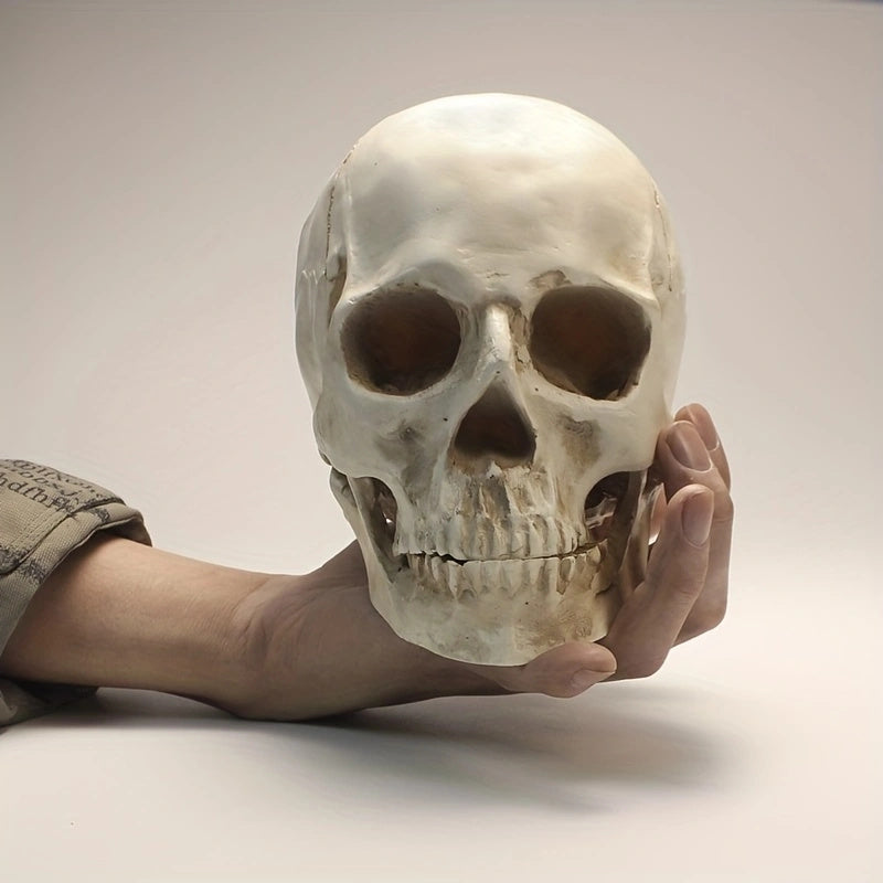 1pc Resin Skull Model Collectible Halloween Ornaments Skull Head