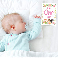 12pcs Newborn Month Sticker Cards - Perfect Baby Shower Gift