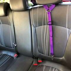 2 In 1 Pet Car Seat Belt Nylon Lead Leash Backseat Safety Belt Adjustable
