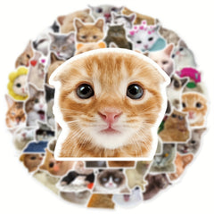 50pcs Cute Cat Graffiti Stickers for Motorcycles Laptops and More
