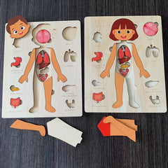 Wooden Human Body Puzzle for Kids Educational Toy