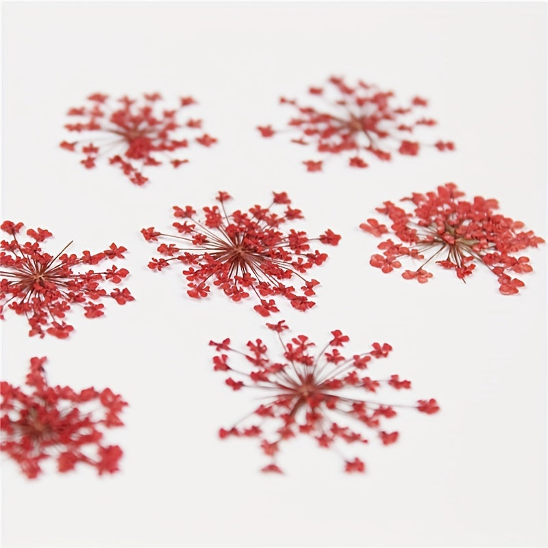 20pcs Natural Snowflake Dry Flower Embossing DIY Decorations