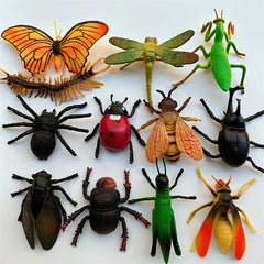Realistic Insect Toy Models - Prank Toys Spider Butterfly Dragonfly