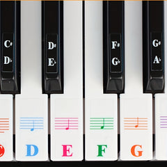Piano Keyboard Sticker Set w/ Staff Notation & Note Markings - Self Study