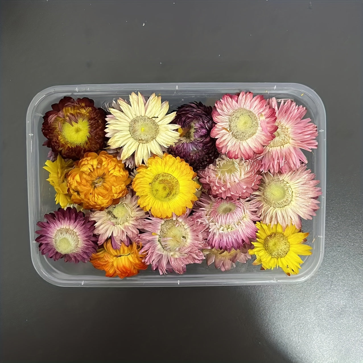 Real Dried Flower Resin Mold Fillings UV Epoxy Jewelry Craft DIY Supplies