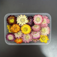 Real Dried Flower Resin Mold Fillings UV Epoxy Jewelry Craft DIY Supplies
