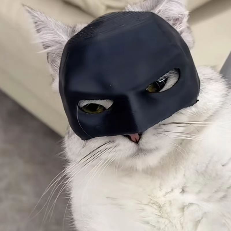3D Printed Cat Mask Superhero Costume Fun Pet Prop for Cosplay Photoshoots