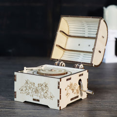 Wooden Music Box 3D Puzzle You Are My Sunshine Hand Treasure Model Kit