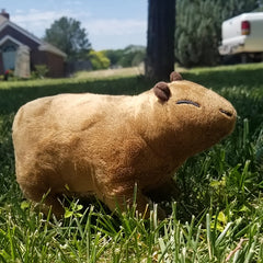 Plush Capybara Toy for Birthday or Holiday