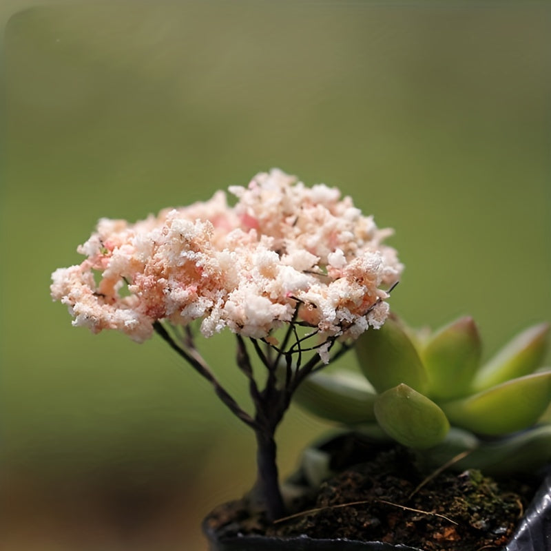 2pcs Mini Sakura Trees Plant Ornament Micro Landscape Craft