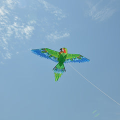 Green Parrot Kite D Handle Flying Lines Easy Setup Easy Fly Family Games