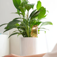 Bird Shaped Planter with Self Watering System